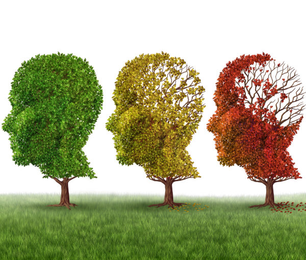 Memory loss and brain aging due to dementia and alzheimer